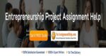Entrepreneurship Project Assignment Help At No1AssignmentHelp.Com